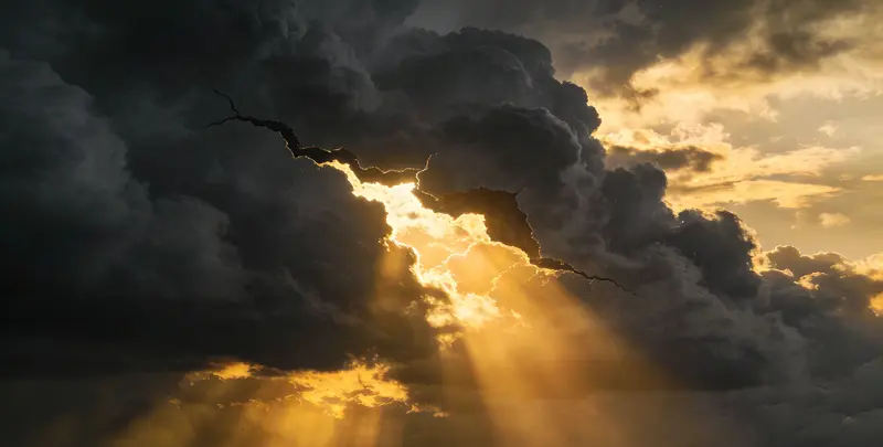 汕头肺癌11基因检测组织版图片1