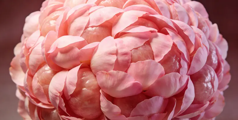 汕头BRCA1/2乳腺癌卵巢癌基因检测图片1